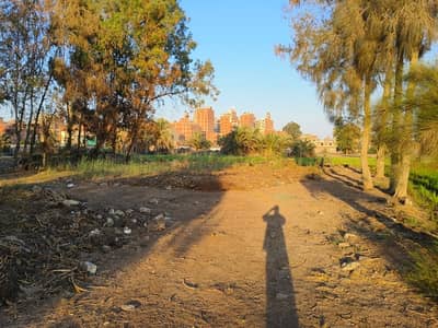 Residential Land for Sale in Mansura, Dakahlia - قطعة أرض موقع متميز