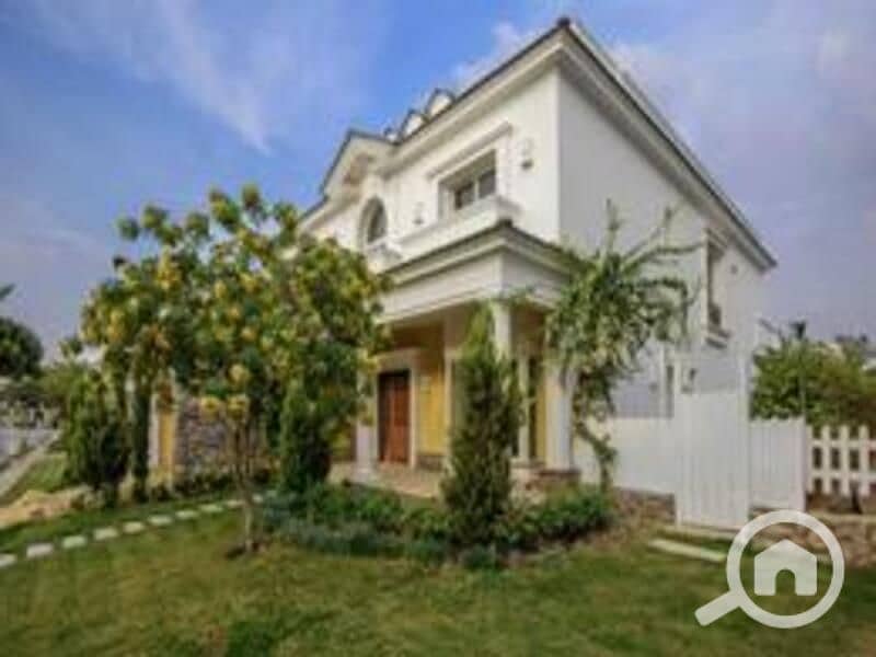 3 3478132-221d6o. jpg