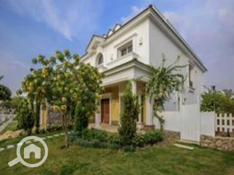 3 3478132-221d6o. jpg