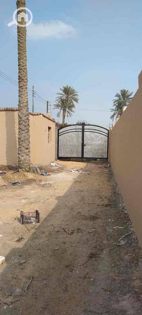 6ac2342e-6394-45a3-b1c0-6f0095f3f736. jpg