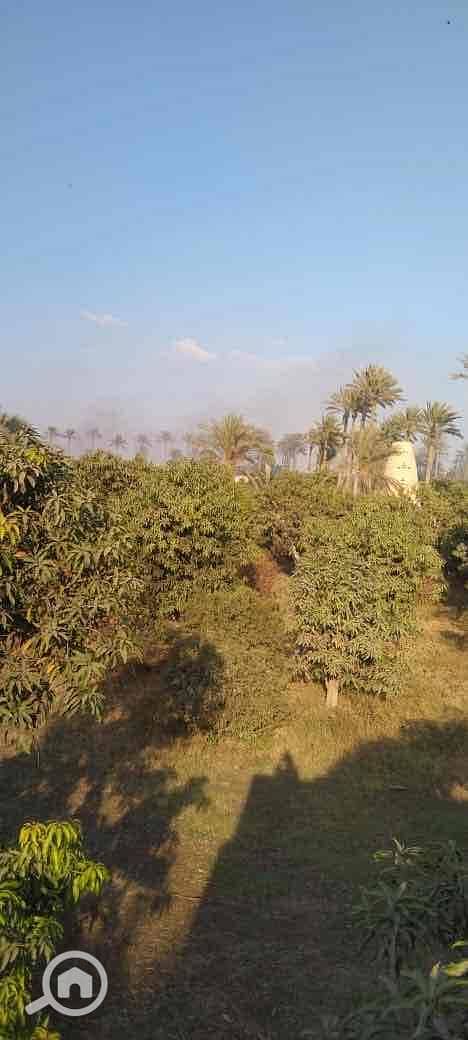 2 c08bd6d8-e0c3-4f22-b530-d19395698731. jpg