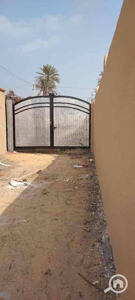 3 a53ac1ef-dc01-4b56-af0e-fa69131e59c8. jpg