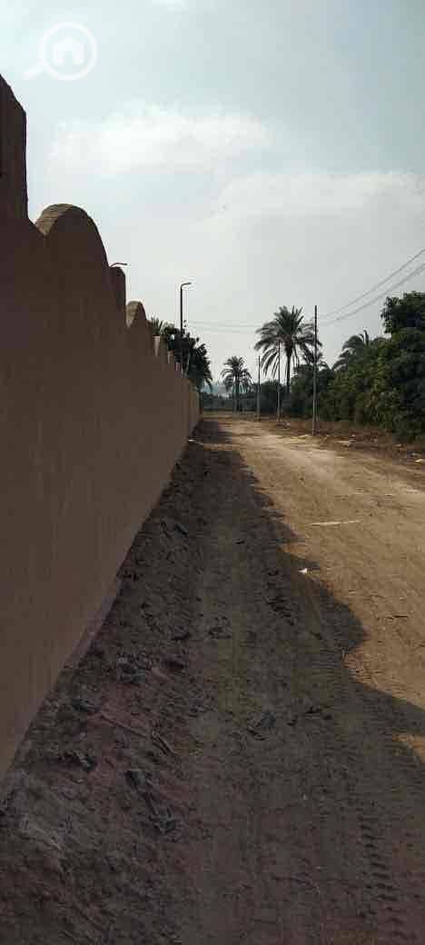 6 bb43a89a-47d8-4688-9d4e-3554c192a458. jpg