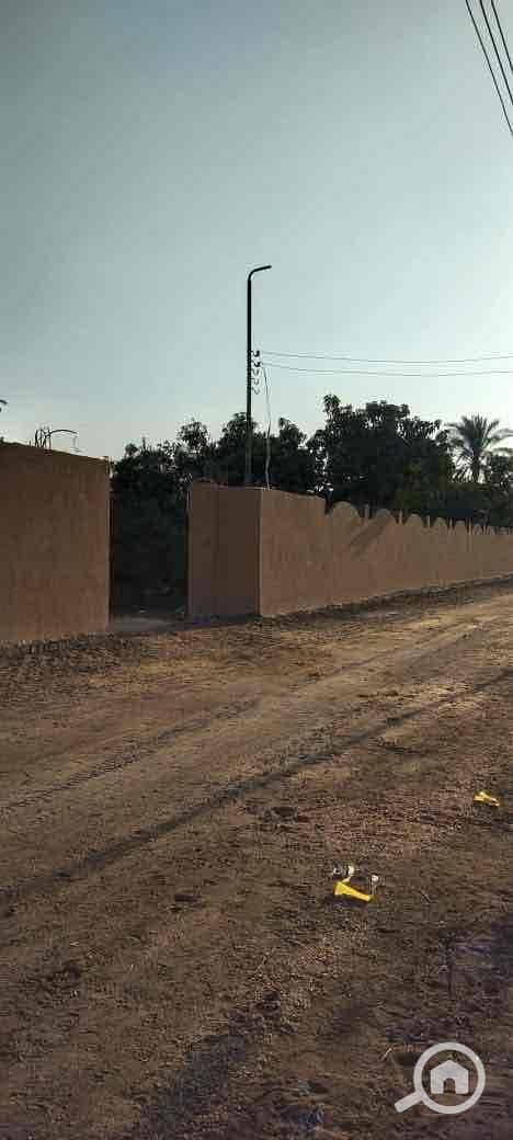 8 b81ea4ea-4d64-48a0-921a-afa56327d2be. jpg