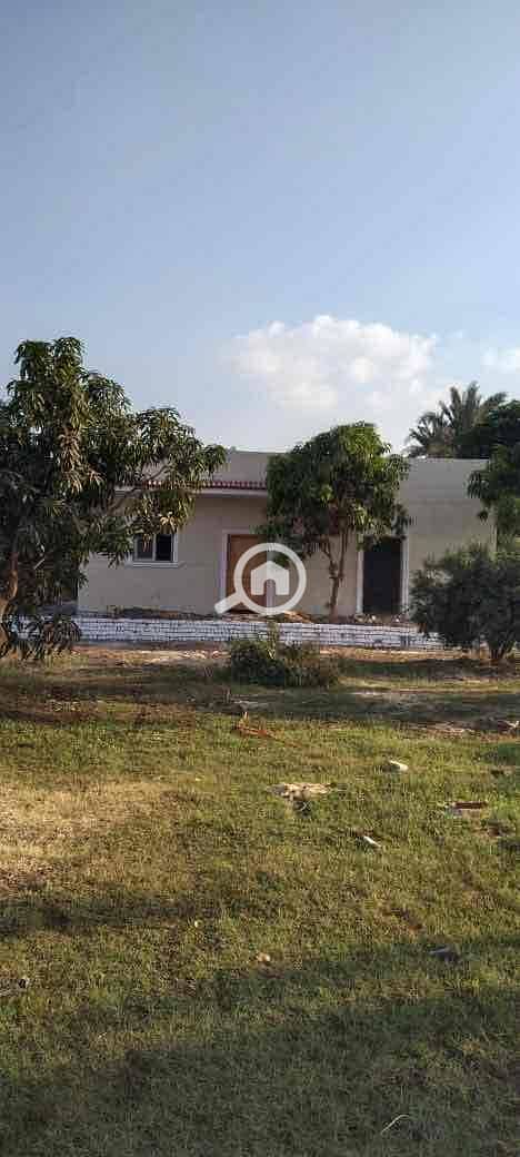 9 d1950cf6-4408-42af-9608-bd6cc8dadb13. jpg