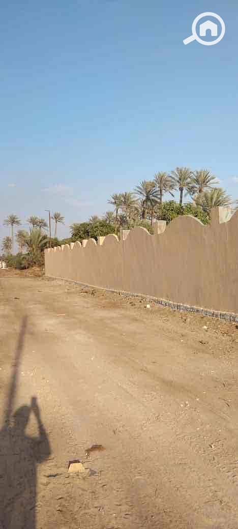 10 83b3f1c1-7650-4794-95b2-f0d7d7a5bb0a. jpg