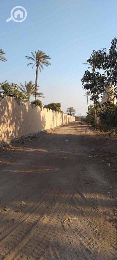 11 32c60d5d-6564-407c-9e25-4dc0d82ad37f. jpg