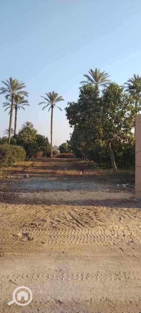 12 f2715ce3-303c-42de-a490-9f4e3544be02. jpg