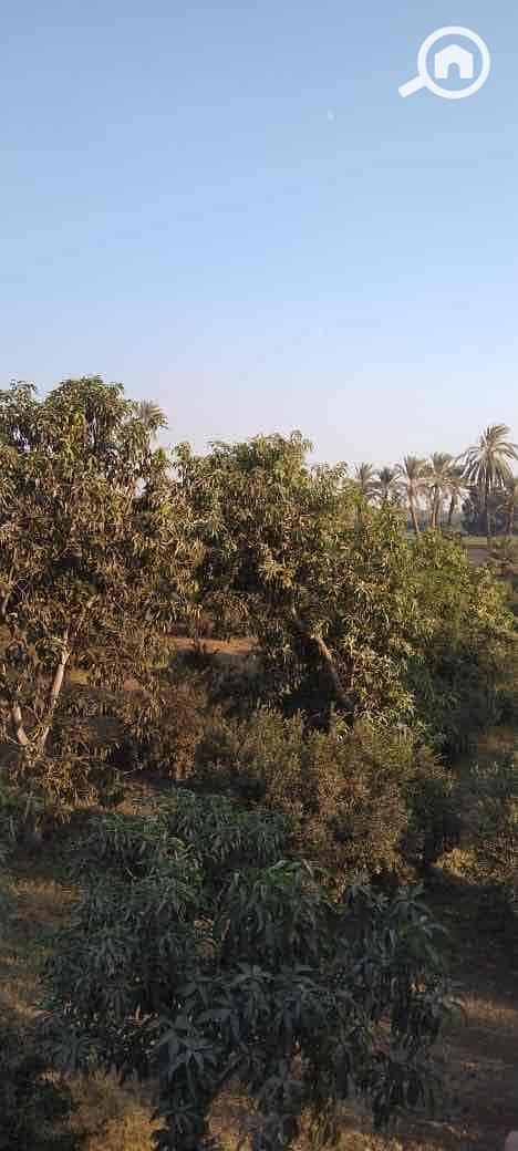 15 c8896a0d-7b5d-4c00-82b0-82386aab11a8. jpg