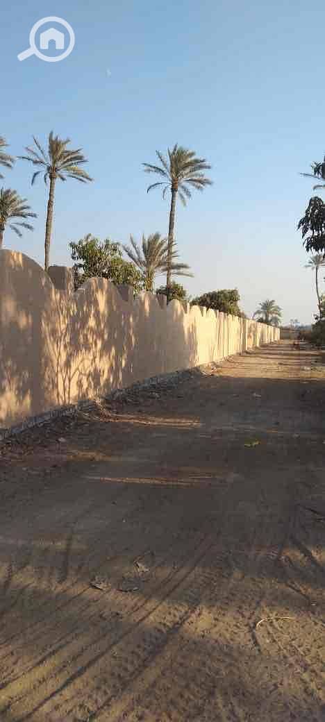 16 510a17cb-99f5-4370-b18f-57302366448d. jpg