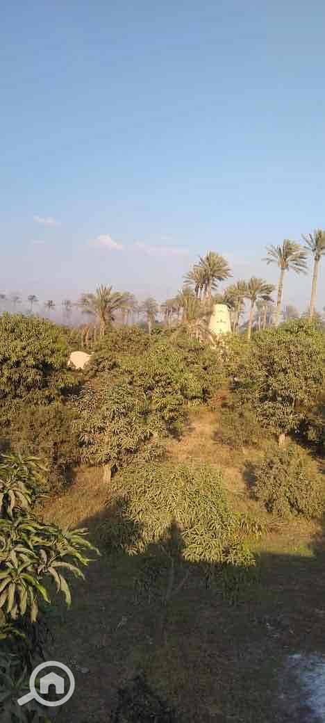 17 86117531-f4ac-45fc-9d3e-3947268aaa15. jpg