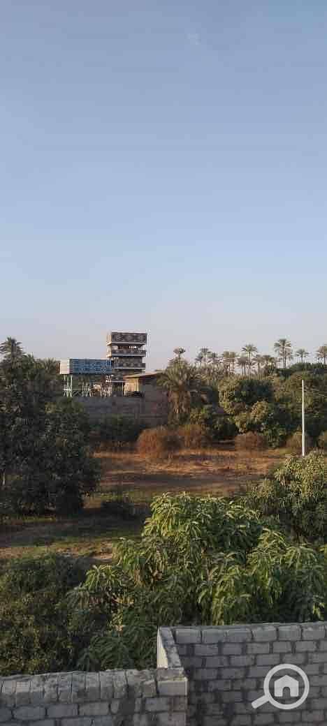 18 8c73b6e2-ad20-4952-9bca-092d09925dc2. jpg