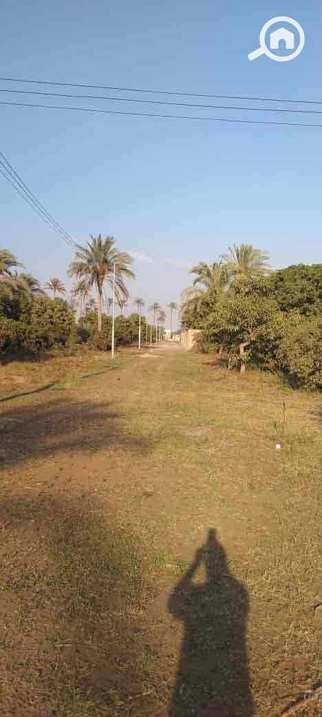 20 dd8c80cb-9d4f-4f72-8cbb-7eebf2cdf8a2. jpg