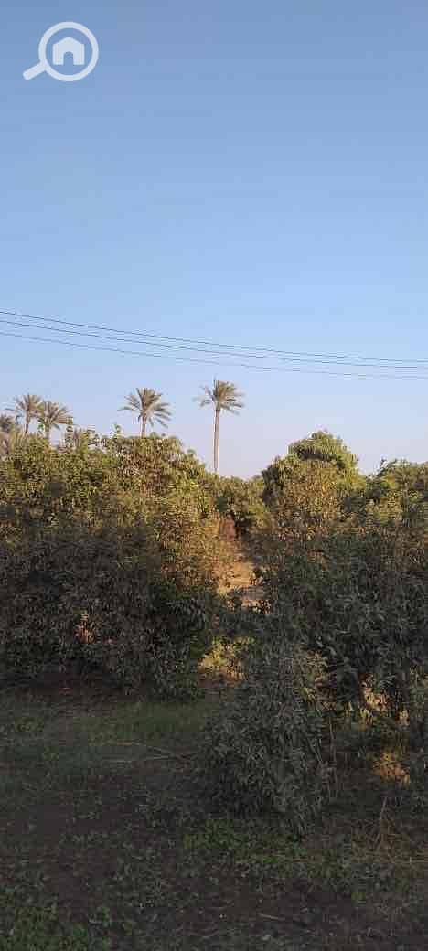 21 51277291-a7db-45d4-b980-81de5c8846fe. jpg