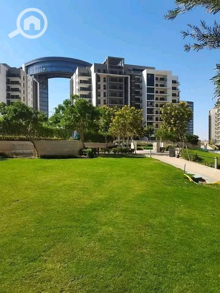 10 WhatsApp Image 2025-01-25 at 2.39. 11 PM. jpeg