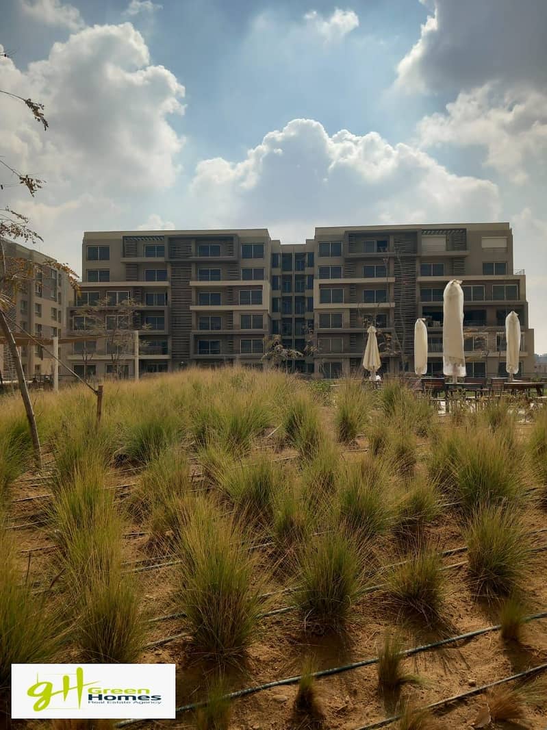 2 WhatsApp Image 2025-04-22 at 11.55. 48_1cf388b2. jpg