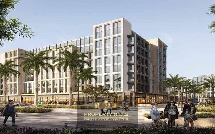 12 zed strip - Copy. jpg