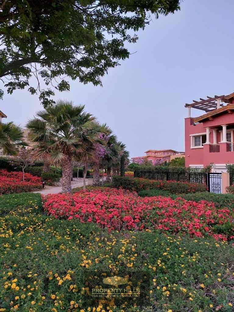 4 d5f225e7-73e2-4088-bd35-2c67c0fb6c5c. jpg