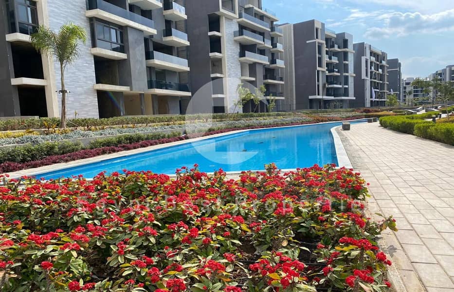 13 IMG-20251112-WA0050. jpg