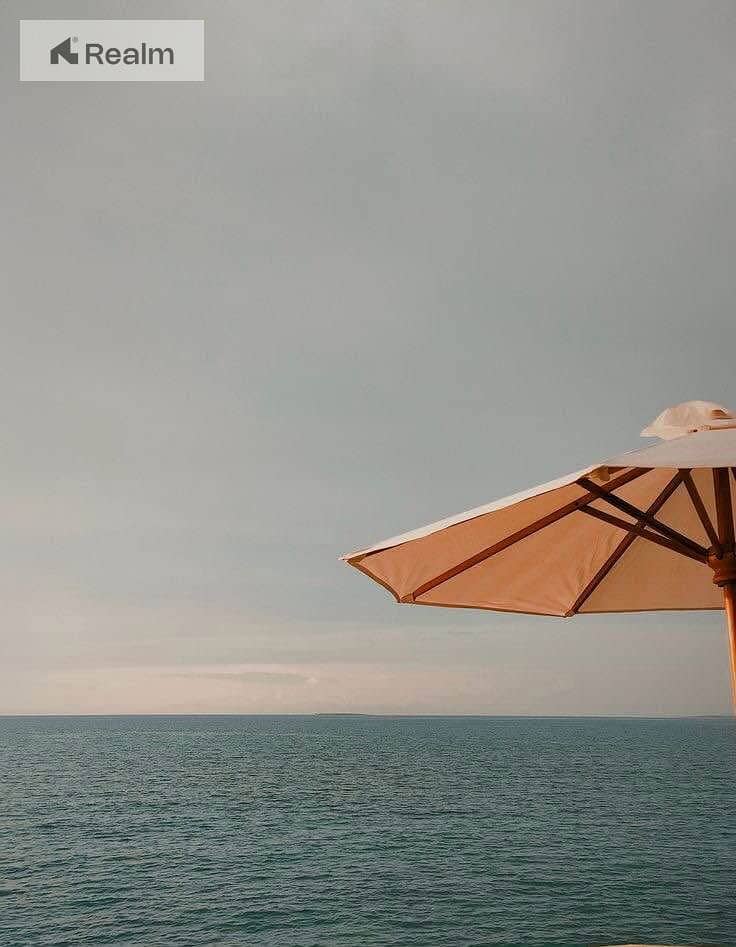 5 559054287_805408075686380_1861127336732204852_n. jpg