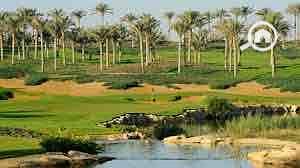 5 aa7bf91a-fea2-46d6-a903-4e10e90c5049. jpg