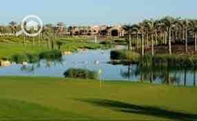 6 258aab11-7451-4a12-b0ef-29be1f87096d. jpg