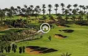 9 ae08af02-c01f-408e-9215-874b25ddef5a. jpg