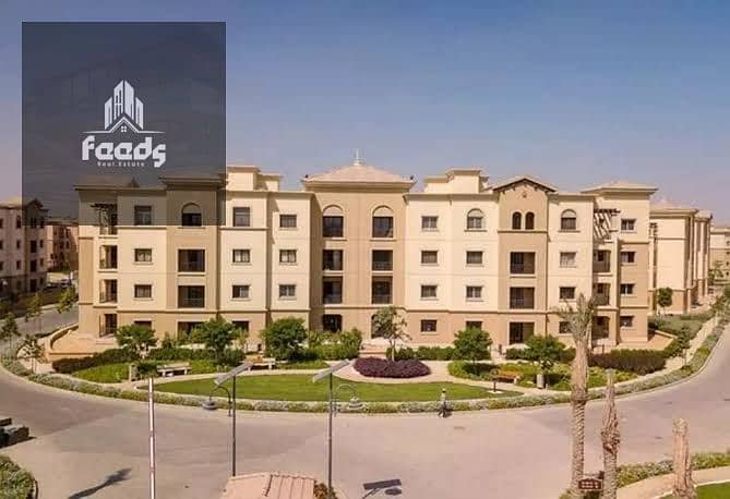 6 WhatsApp Image 2025-11-12 at 11.19. 59 AM (2). jpeg