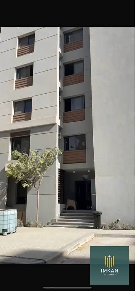 7 559941760_4142176542691958_3879692757822102489_n. jpg