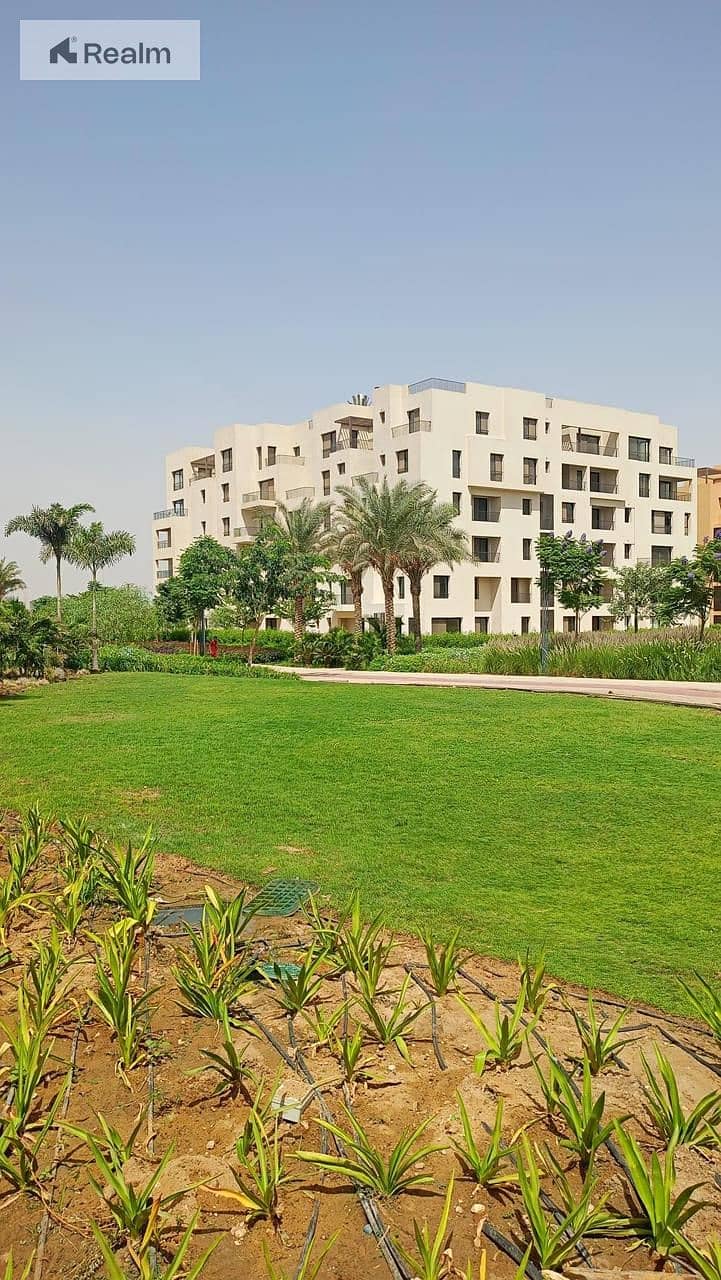 5 474766081_1318971652479561_6896428401636079406_n. jpg