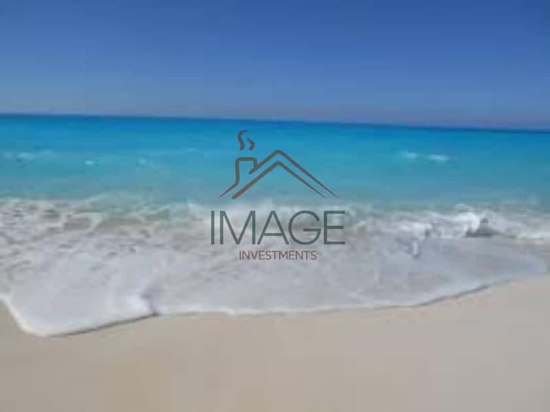 10 images (3). jfif. jpg