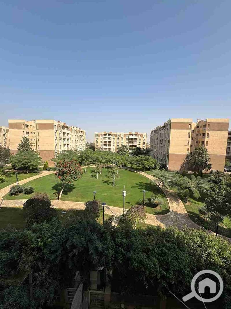 1000452585. jpg 1000452585. jpg