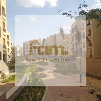 شقة 3 غرف نوم للايجار في القاهرة الجديدة، القاهرة - WhatsApp Image 2025-11-04 at 19.46. 50_fe1e19b8. jpg شقة 3 غرف نوم للايجار في القاهرة الجديدة، القاهرة - WhatsApp Image 2025-11-04 at 19.46. 50_fe1e19b8. jpg