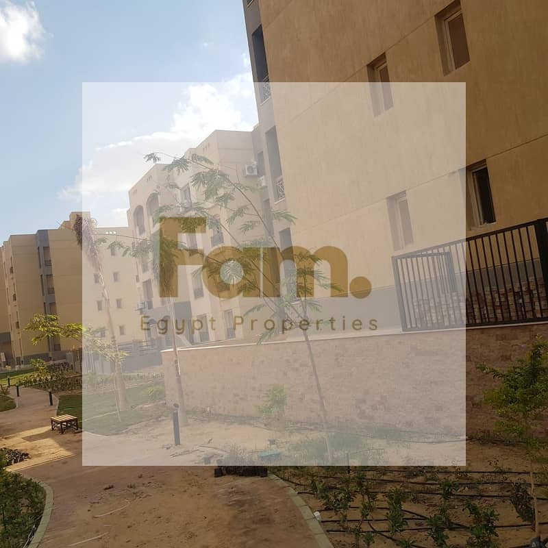 2 WhatsApp Image 2025-11-04 at 19.46. 52_f6d148a7. jpg