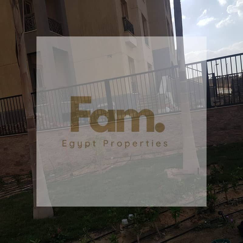 4 WhatsApp Image 2025-11-04 at 19.46. 57_397b26d9. jpg