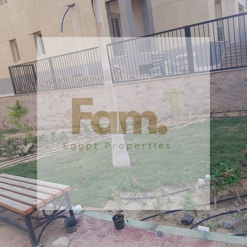 5 WhatsApp Image 2025-11-04 at 19.47. 04_007e029a. jpg