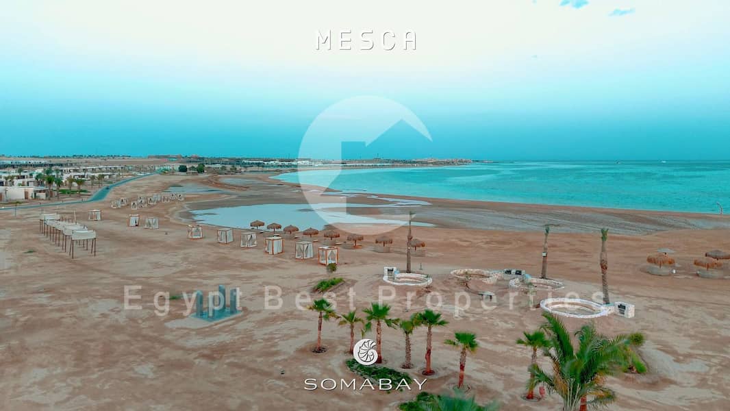 4 WhatsApp Image 2025-09-28 at 18.06. 35_1d966215. jpg