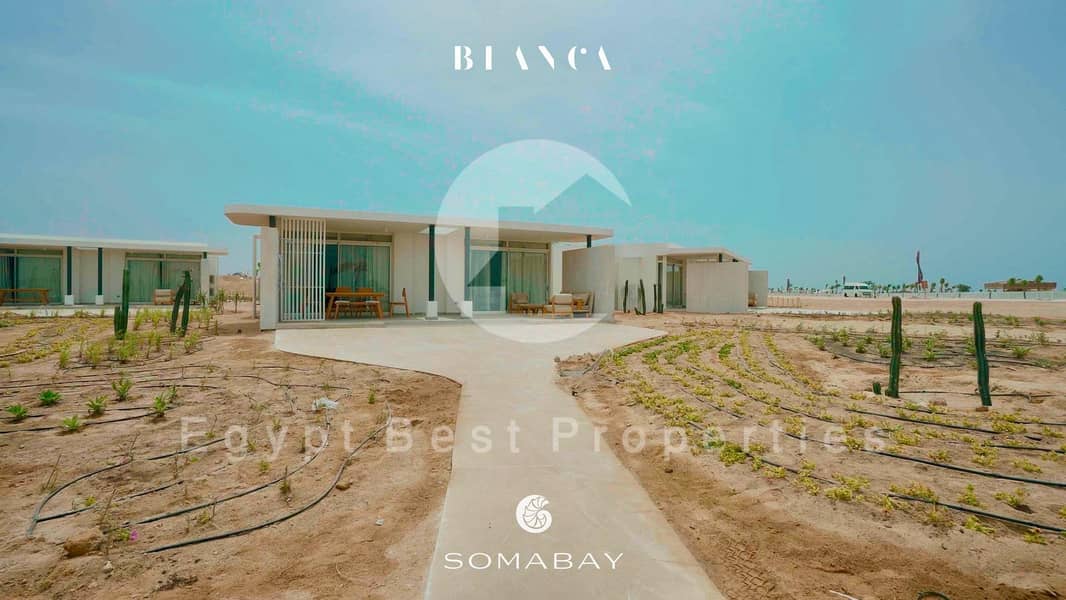 11 WhatsApp Image 2025-09-28 at 18.07. 17_c60d26e8. jpg