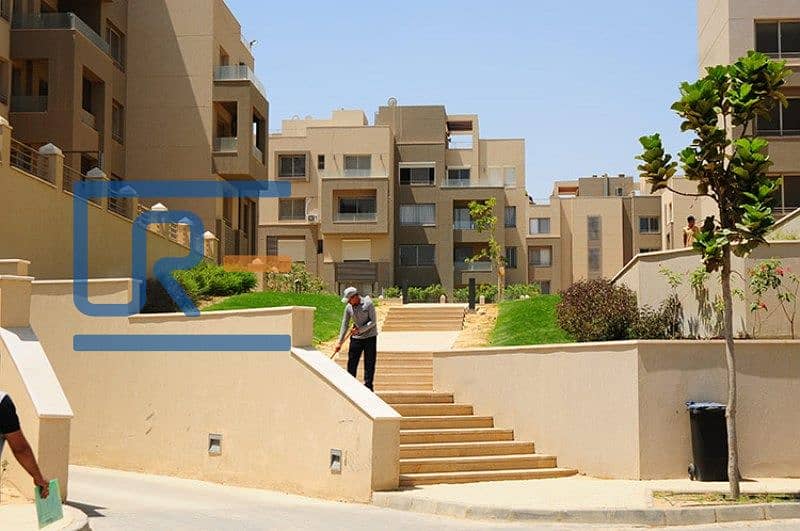 8 3 - Copy - Copy. jpg