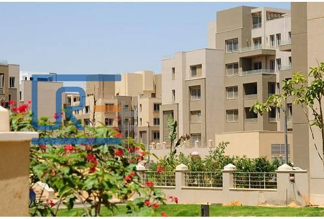 8 2967647-98522o. jpg