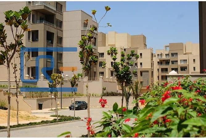 11 2967647-cd63bo. jpg