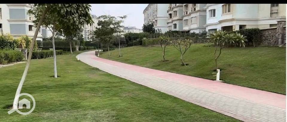 10 540003185_2312211985864858_452414491615262286_n. jpg