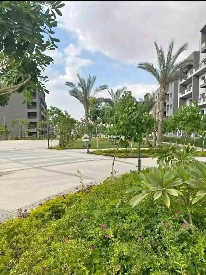 6 IMG-20251111-WA0078. jpg