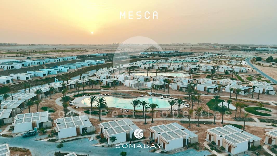 6 WhatsApp Image 2025-09-28 at 18.06. 36_fe78e0a0. jpg