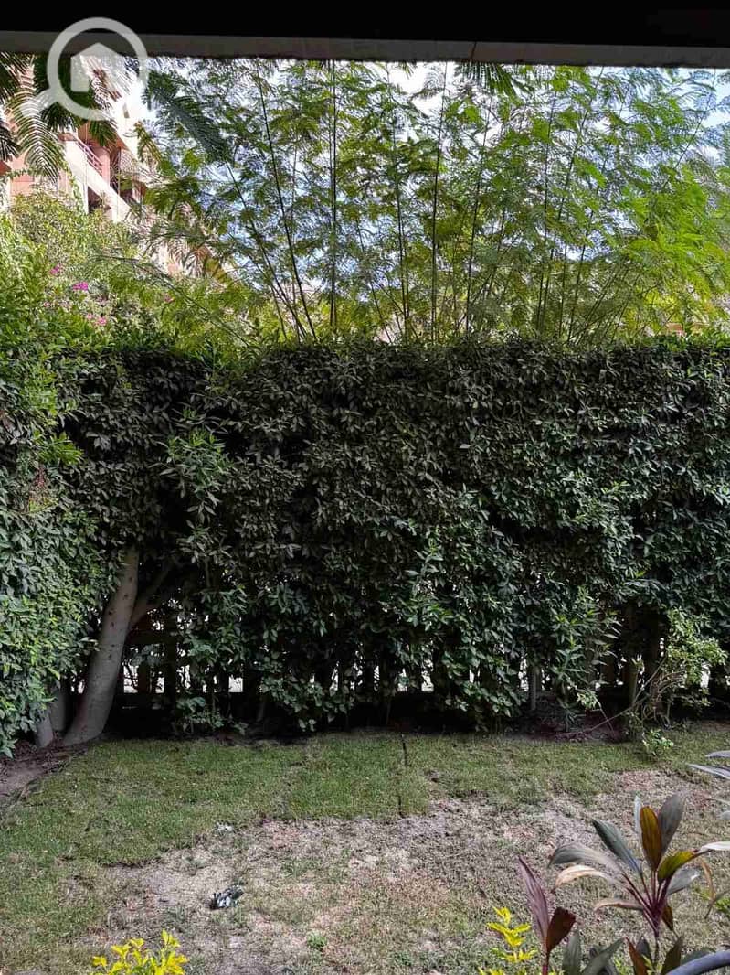 1000210594. jpg 1000210594. jpg