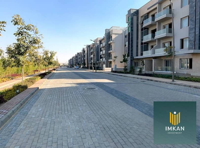 8 View Street and Building . jpg