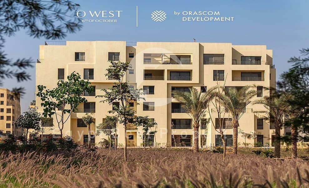 3 3adc7055-8265-4ebb-a314-4cf5cabc5d1d. jpeg