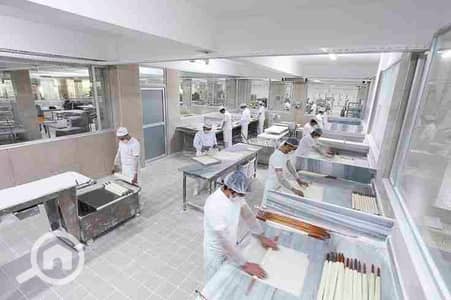 مصنع  للايجار في القاهرة الجديدة، القاهرة - 1000214196. jpg