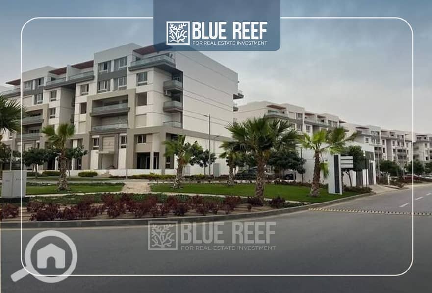 5 WhatsApp Image 2025-11-06 at 3.13. 59 PM. jpeg