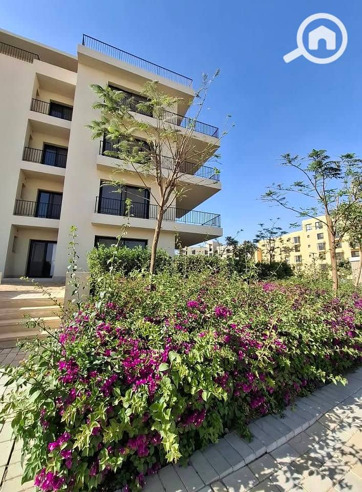 10 494690763_122161472324565108_3518328758618058843_n. jpg